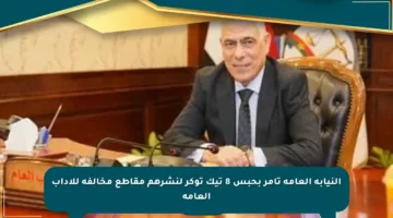 النيابة العامة تأمر بحبس 8 تيك توكر لنشرهم مقاطع مخالفة للآداب العامة